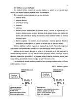 Referāts 'Reklāmas klasifikācijas īpatnības', 11.