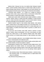 Referāts 'Reklāmas klasifikācijas īpatnības', 12.