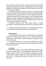 Referāts 'Reklāmas klasifikācijas īpatnības', 21.