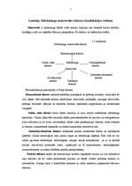 Referāts 'Mārketinga makrovides faktori', 7.