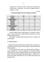 Referāts 'Mārketinga makrovides faktori', 18.