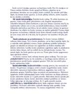 Referāts 'Saule', 2.