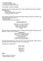 Referāts 'Rainis', 2.