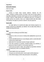 Biznesa plāns 'Biznesa plāns sporta klubam "Spēks"', 2.