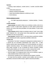 Biznesa plāns 'Biznesa plāns sporta klubam "Spēks"', 3.