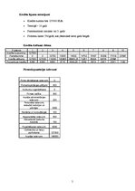 Biznesa plāns 'Biznesa plāns sporta klubam "Spēks"', 5.