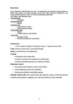 Biznesa plāns 'Biznesa plāns sporta klubam "Spēks"', 9.