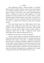 Referāts 'Vīrietis un sieviete kā ģimenes vadītāji', 9.