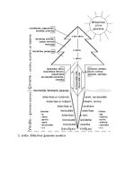 Referāts 'Vīrietis un sieviete kā ģimenes vadītāji', 14.