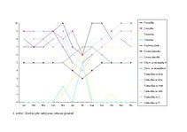 Referāts 'Vīrietis un sieviete kā ģimenes vadītāji', 18.
