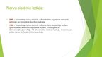 Prezentācija 'Veģetatīvo nervu sistēma', 2.