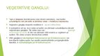 Prezentācija 'Veģetatīvo nervu sistēma', 9.