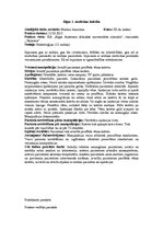 Prakses atskaite 'Prakses dienasgrāmata ķirurģijā', 1.