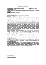 Prakses atskaite 'Prakses dienasgrāmata ķirurģijā', 2.