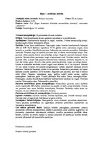 Prakses atskaite 'Prakses dienasgrāmata ķirurģijā', 3.