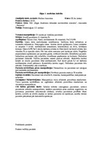 Prakses atskaite 'Prakses dienasgrāmata ķirurģijā', 5.