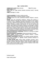 Prakses atskaite 'Prakses dienasgrāmata ķirurģijā', 10.