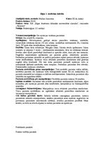 Prakses atskaite 'Prakses dienasgrāmata ķirurģijā', 15.