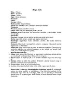 Referāts 'Nedaudz par mušām', 5.