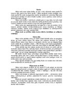 Referāts 'Nedaudz par mušām', 6.