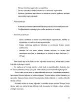 Diplomdarbs 'Pašvaldības loma tūrisma attīstībā Jelgavā', 13.