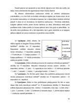 Diplomdarbs 'Pašvaldības loma tūrisma attīstībā Jelgavā', 64.