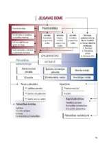Diplomdarbs 'Pašvaldības loma tūrisma attīstībā Jelgavā', 76.