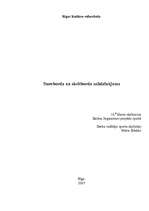 Referāts 'Snovborda un skeitborda salīdzinājums', 1.