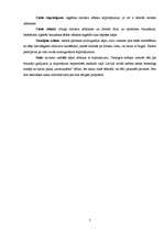 Referāts 'Snovborda un skeitborda salīdzinājums', 7.