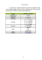 Referāts 'Snovborda un skeitborda salīdzinājums', 14.