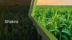 Prezentācija 'Shakira', 1.