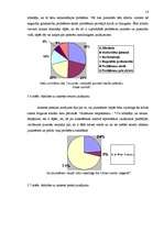 Referāts 'Jelgavas sociālo lietu pārvaldes krīzes centra izmantošana jauniešu skatījumā', 14.
