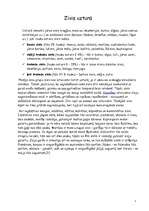 Referāts 'Zivis un to pārstrādes produkti', 4.