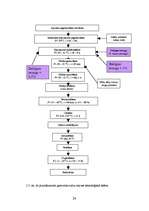 Referāts 'Pētījums par sauso ieraugu izmantošanu rudzu maizes gatavošanā', 24.