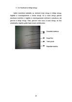 Referāts 'Pētījums par sauso ieraugu izmantošanu rudzu maizes gatavošanā', 29.