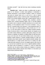 Diplomdarbs 'Autortiesības interneta vidē', 28.