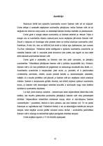 Diplomdarbs 'Autortiesības interneta vidē', 45.