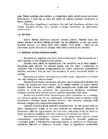 Biznesa plāns 'Biznesa plāns SIA "Vermerk" - elektrospuldžu ražošana', 11.