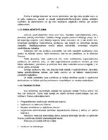 Biznesa plāns 'Biznesa plāns SIA "Vermerk" - elektrospuldžu ražošana', 31.