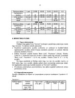 Biznesa plāns 'Biznesa plāns SIA "Vermerk" - elektrospuldžu ražošana', 42.