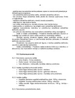 Biznesa plāns 'Biznesa plāns SIA "Vermerk" - elektrospuldžu ražošana', 46.