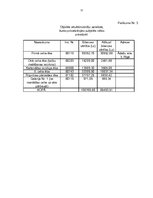 Biznesa plāns 'Biznesa plāns SIA "Vermerk" - elektrospuldžu ražošana', 57.