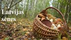 Prezentācija 'Latvijas sēnes', 1.