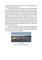 Referāts 'Jūras resursu izmantošanas iespējas enerģētikā - ieguvumi un zaudējumi', 6.