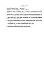 Referāts 'Veģetārisms', 31.