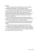 Referāts 'Mācību centra "Kvinta" darbības pilnveide', 11.