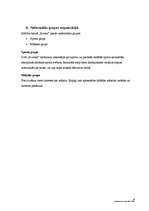 Referāts 'Mācību centra "Kvinta" darbības pilnveide', 16.