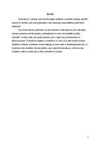 Referāts 'Personas socializācija', 3.