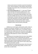 Referāts 'Personas socializācija', 7.