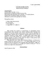 Konspekts 'Pēdas stāvokļa noteikšana', 1.